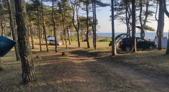 Ureki Nature beach