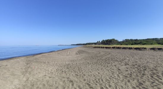 Ureki Nature beach