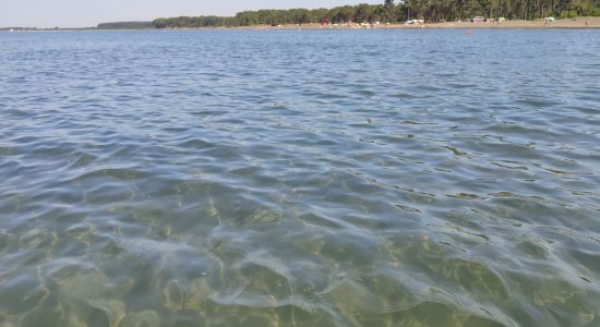Ureki Nature beach