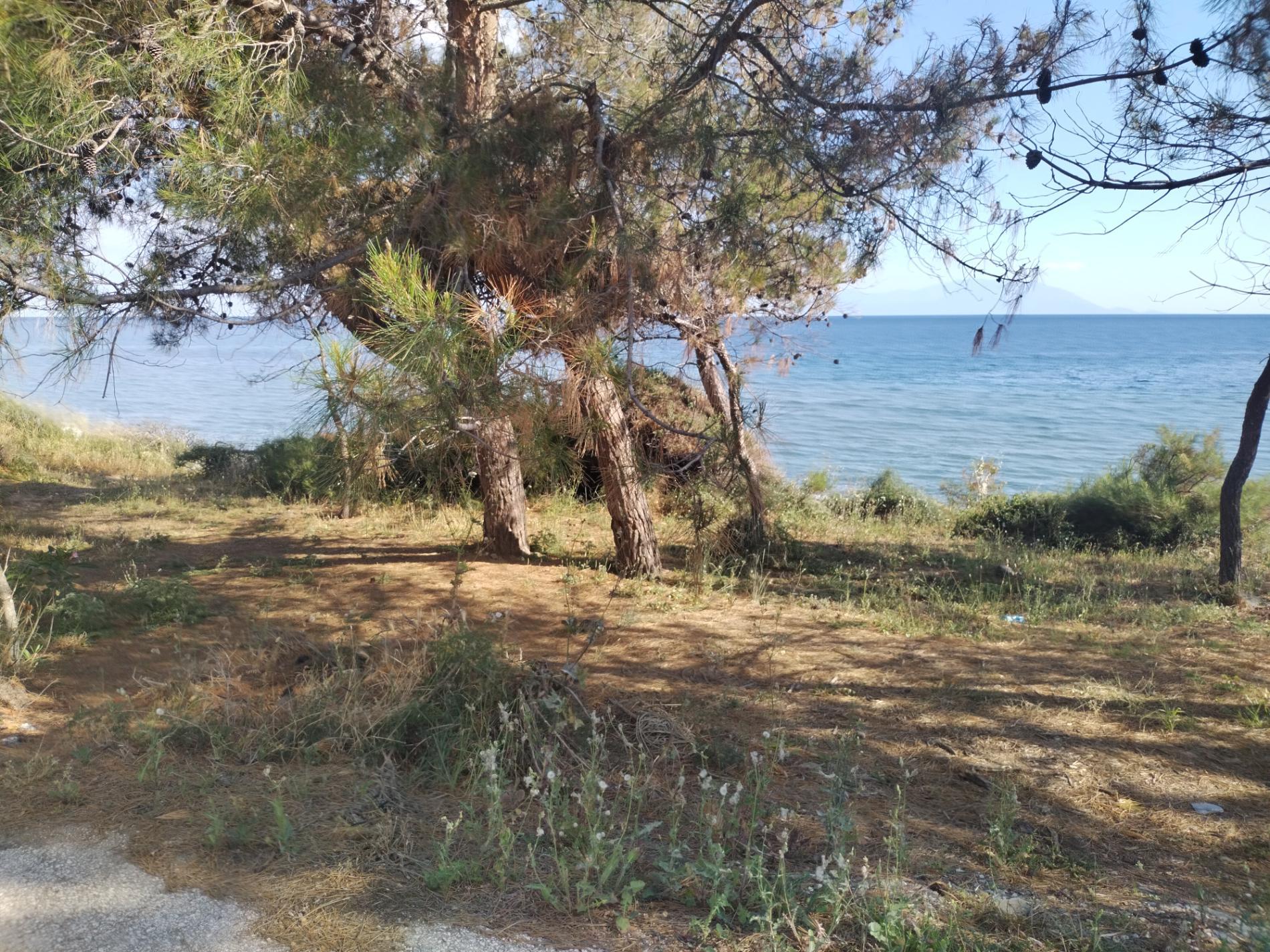Foto de Mesimvria Zoni beach localizado em área natural