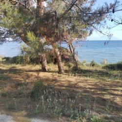 Foto de Mesimvria Zoni beach localizado em área natural