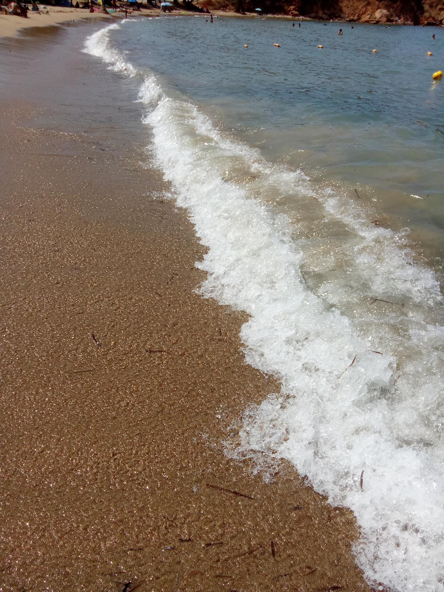 Photo of Iguana Beach