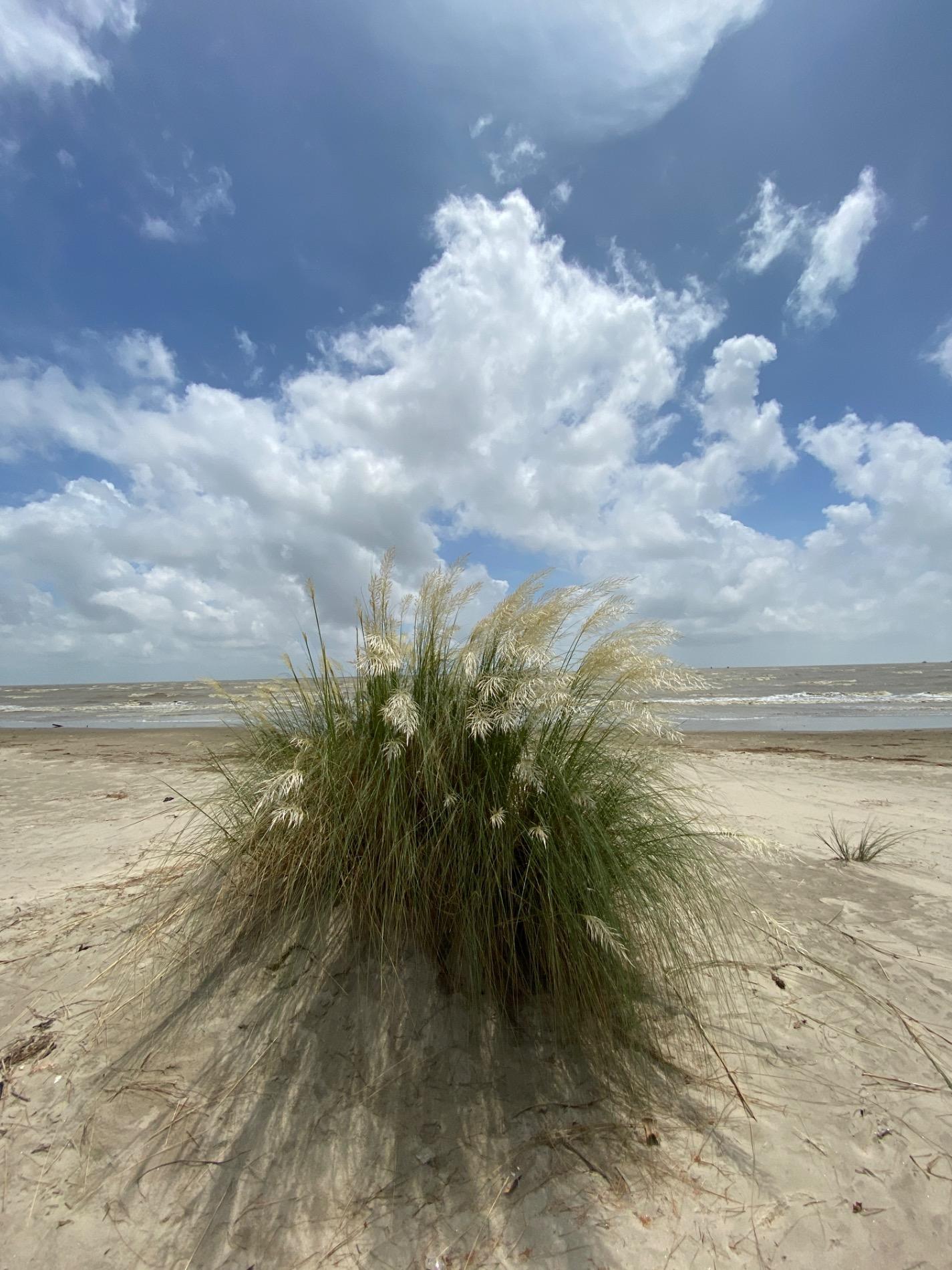 Photo of Hijli Sea Beach