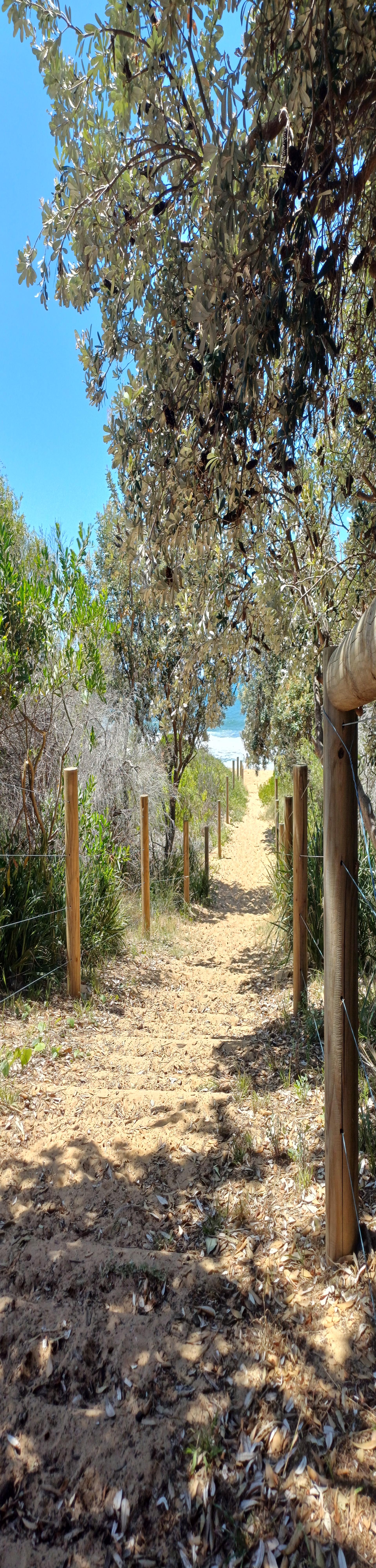 Photo of Killcare Beach