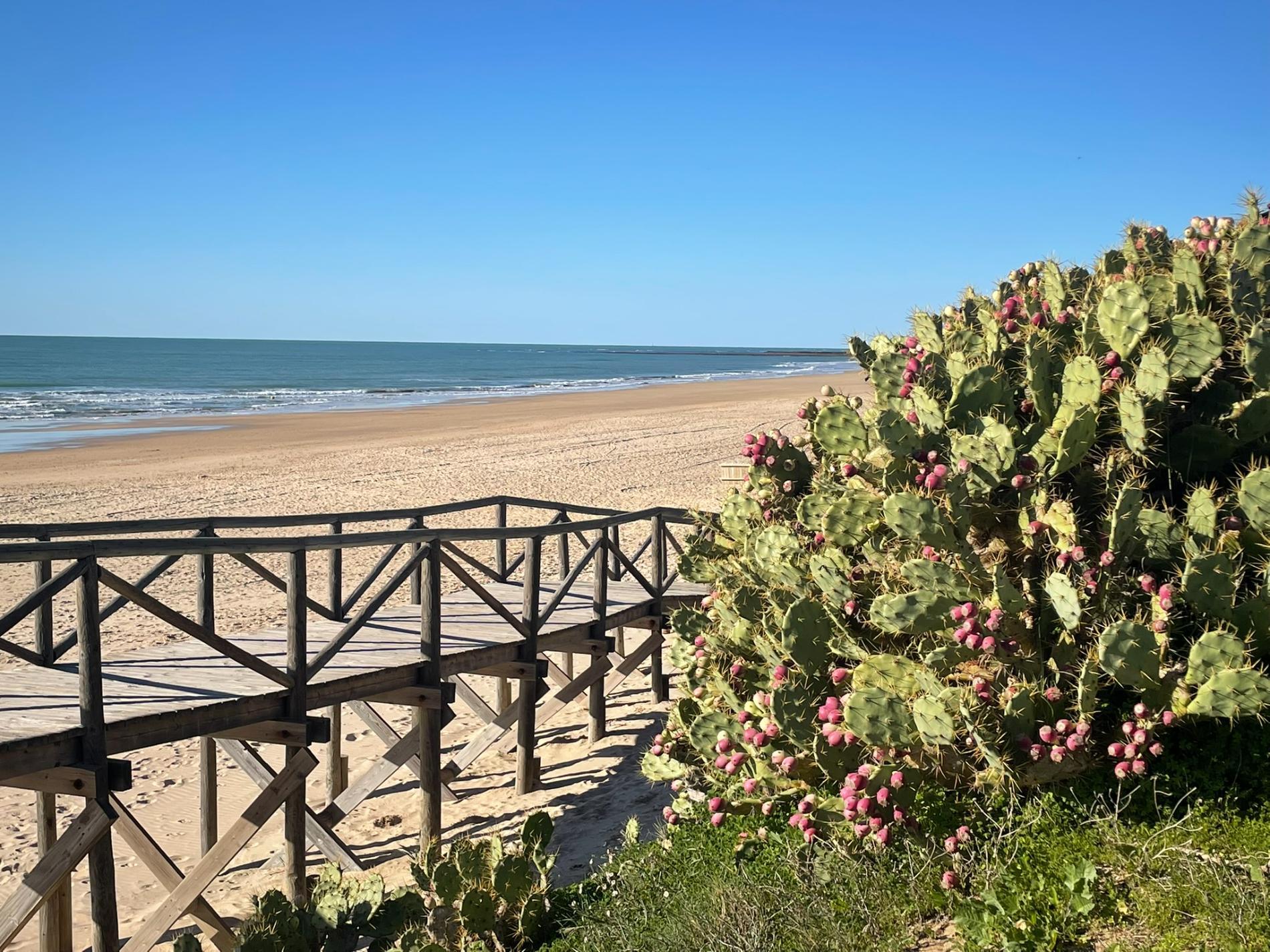 Foto di Playa de las Tres Piedras e l'insediamento