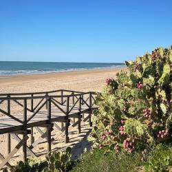 Foto di Playa de las Tres Piedras e l'insediamento