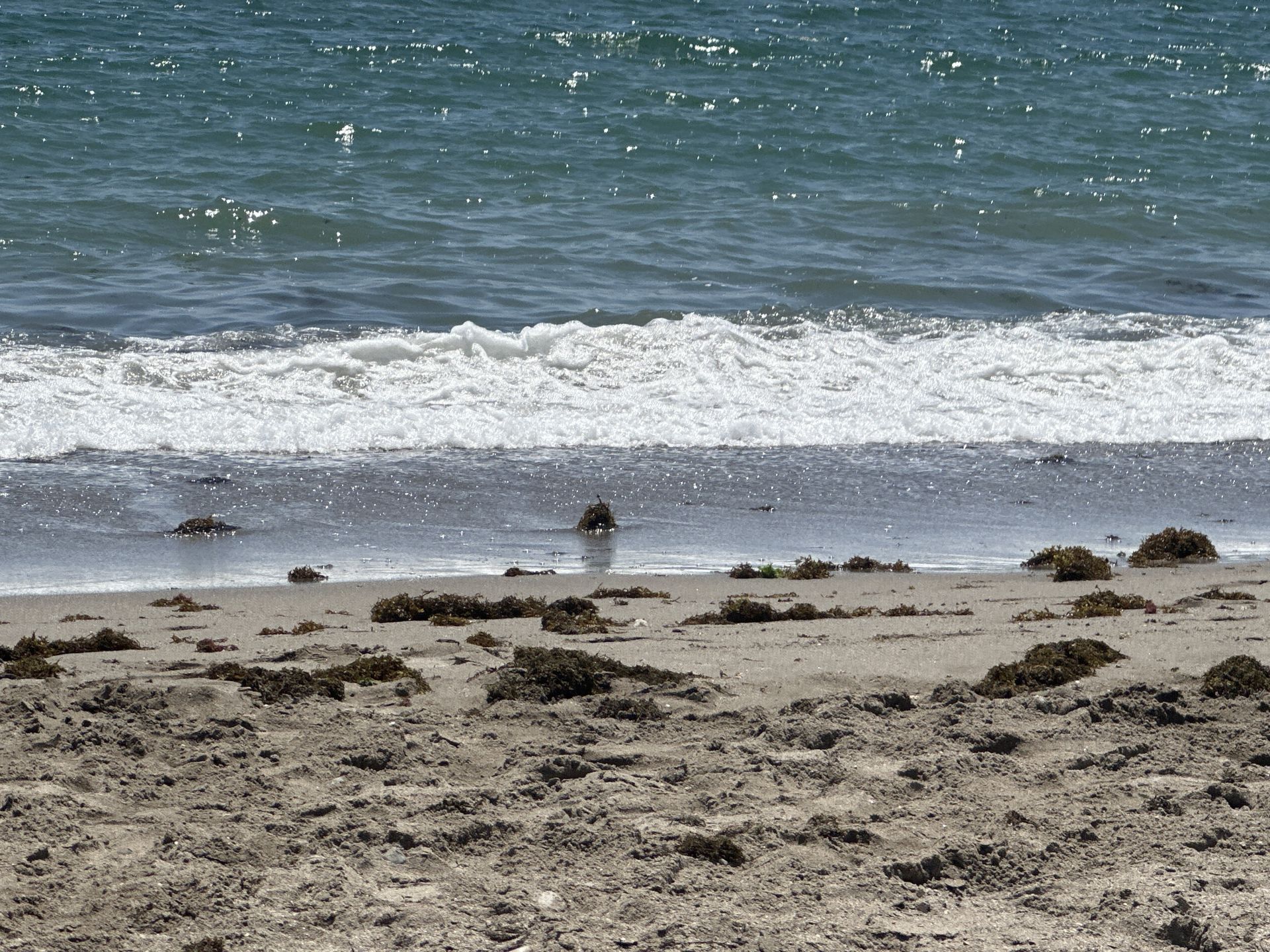 Photo of Playa de Quitapellejos
