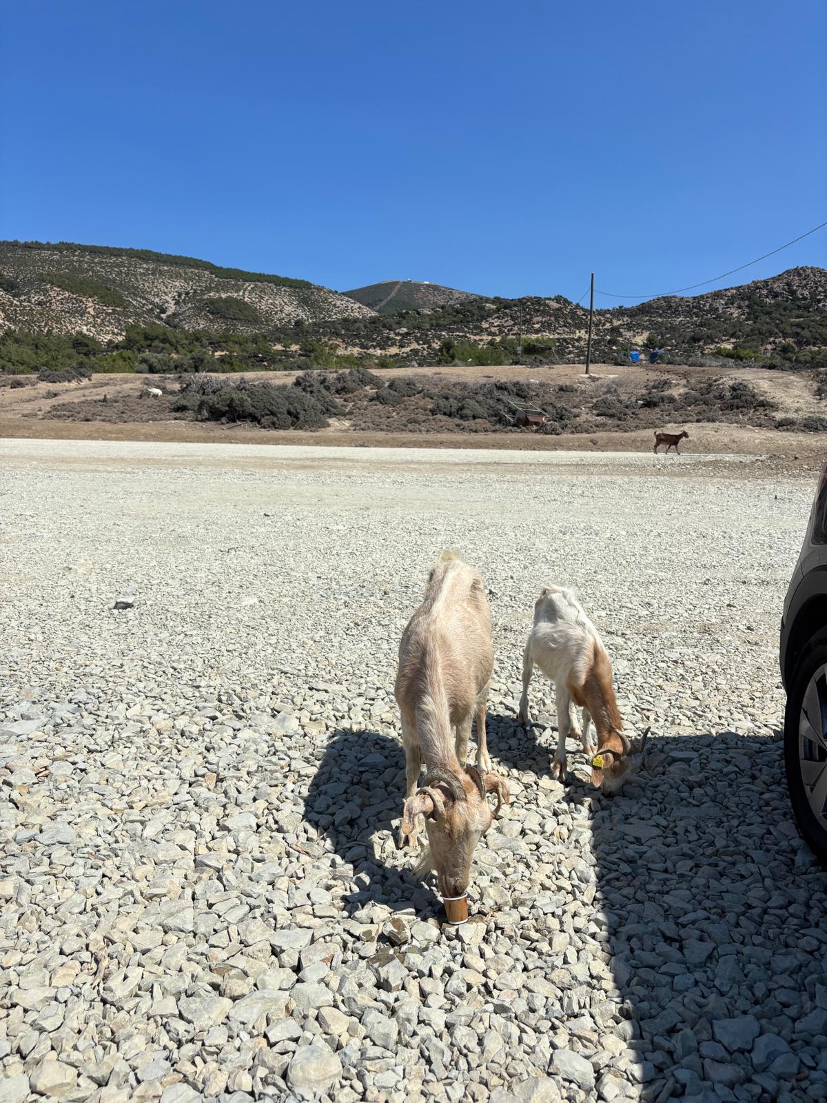 Foto di Gizli Liman II e il suo bellissimo paesaggio