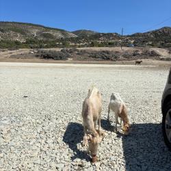 Foto di Gizli Liman II e il suo bellissimo paesaggio