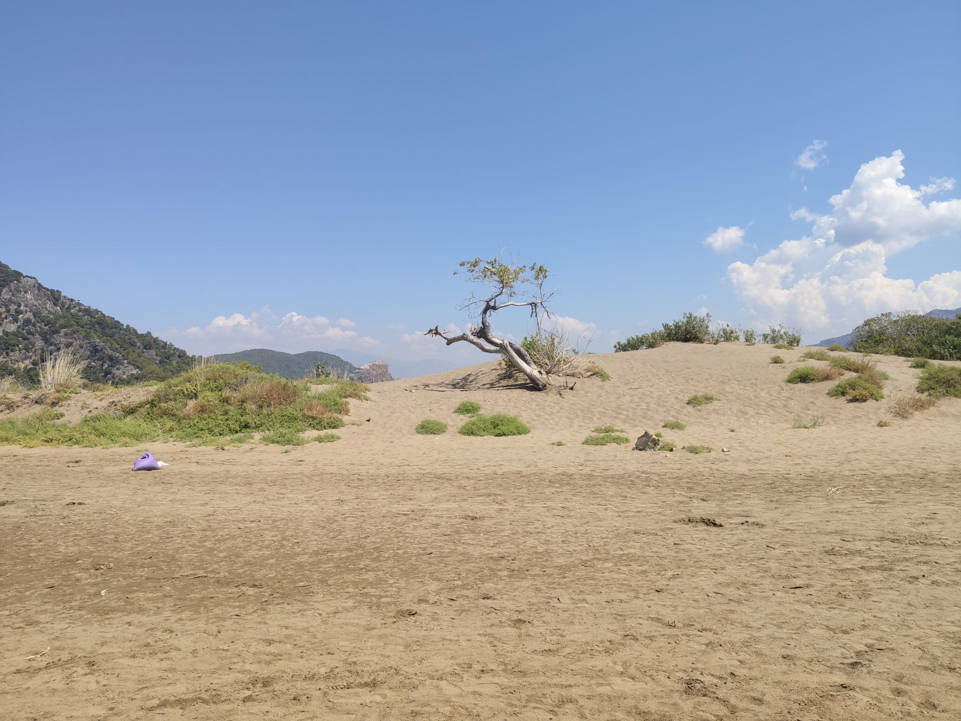 Photo of İztuzu Plajı