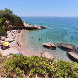 Foto di Aquarium beach e il suo bellissimo paesaggio