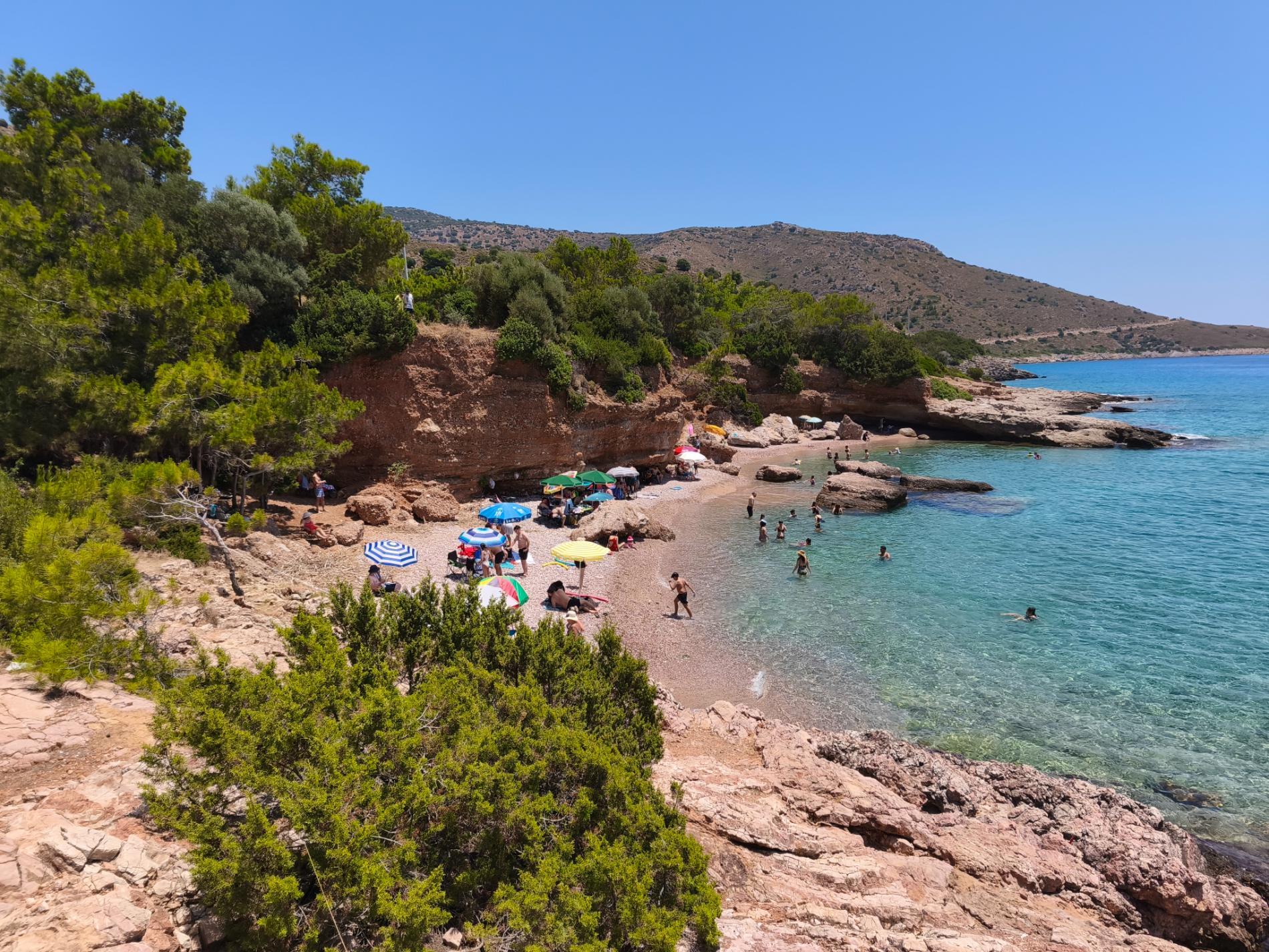 Foto di Aquarium beach zona selvaggia
