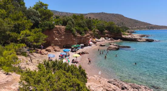Aquarium beach