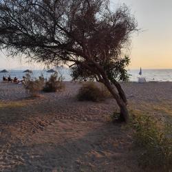 Foto de Ayvan beach III com várias baías espaçosas
