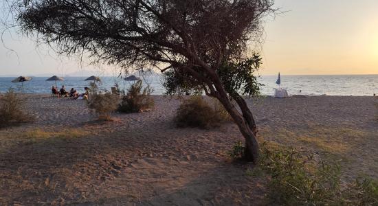 Ayvan beach III