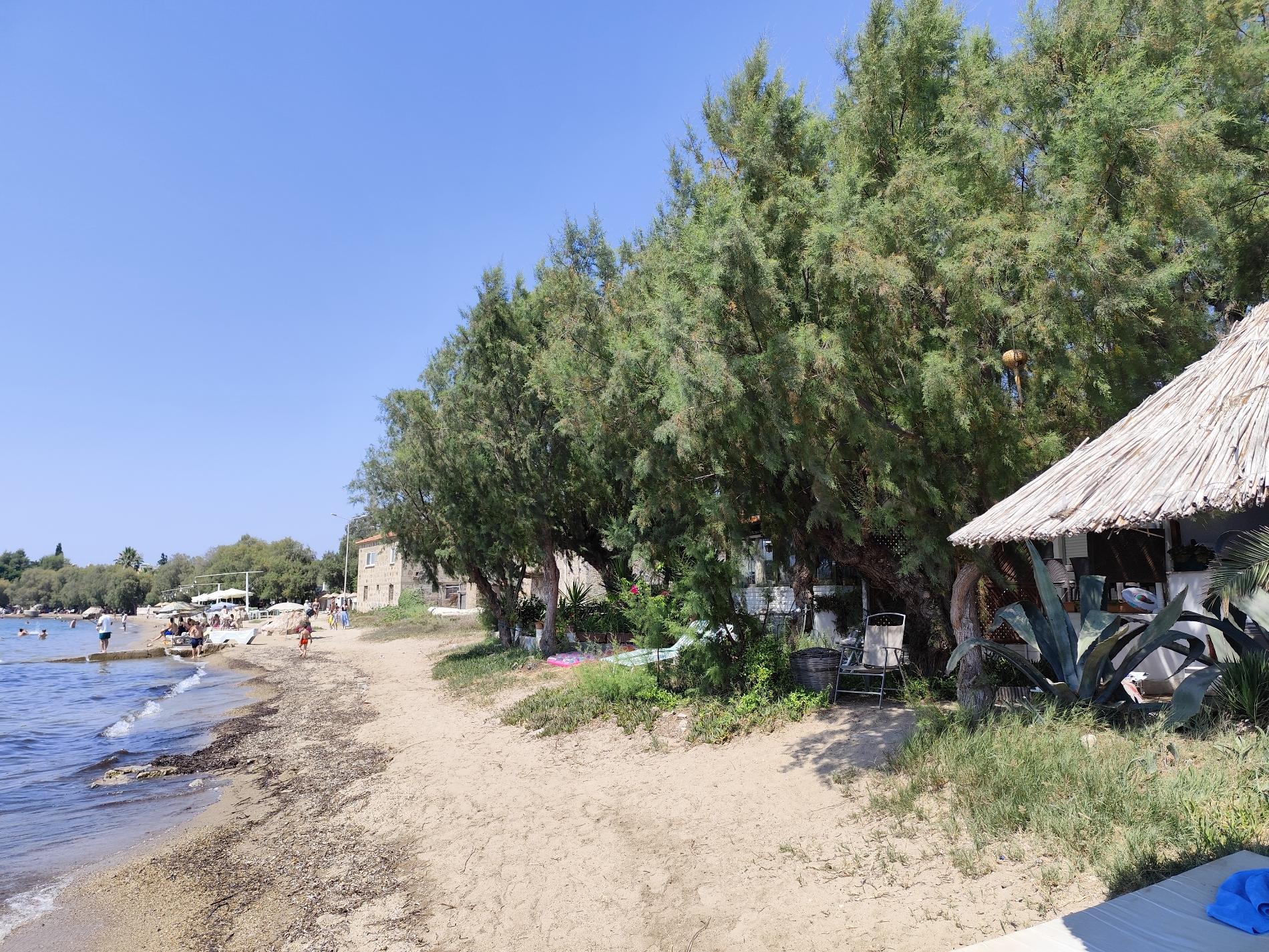 Photo of Kadikalesi beach