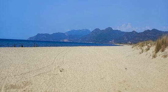 Pamucak beach