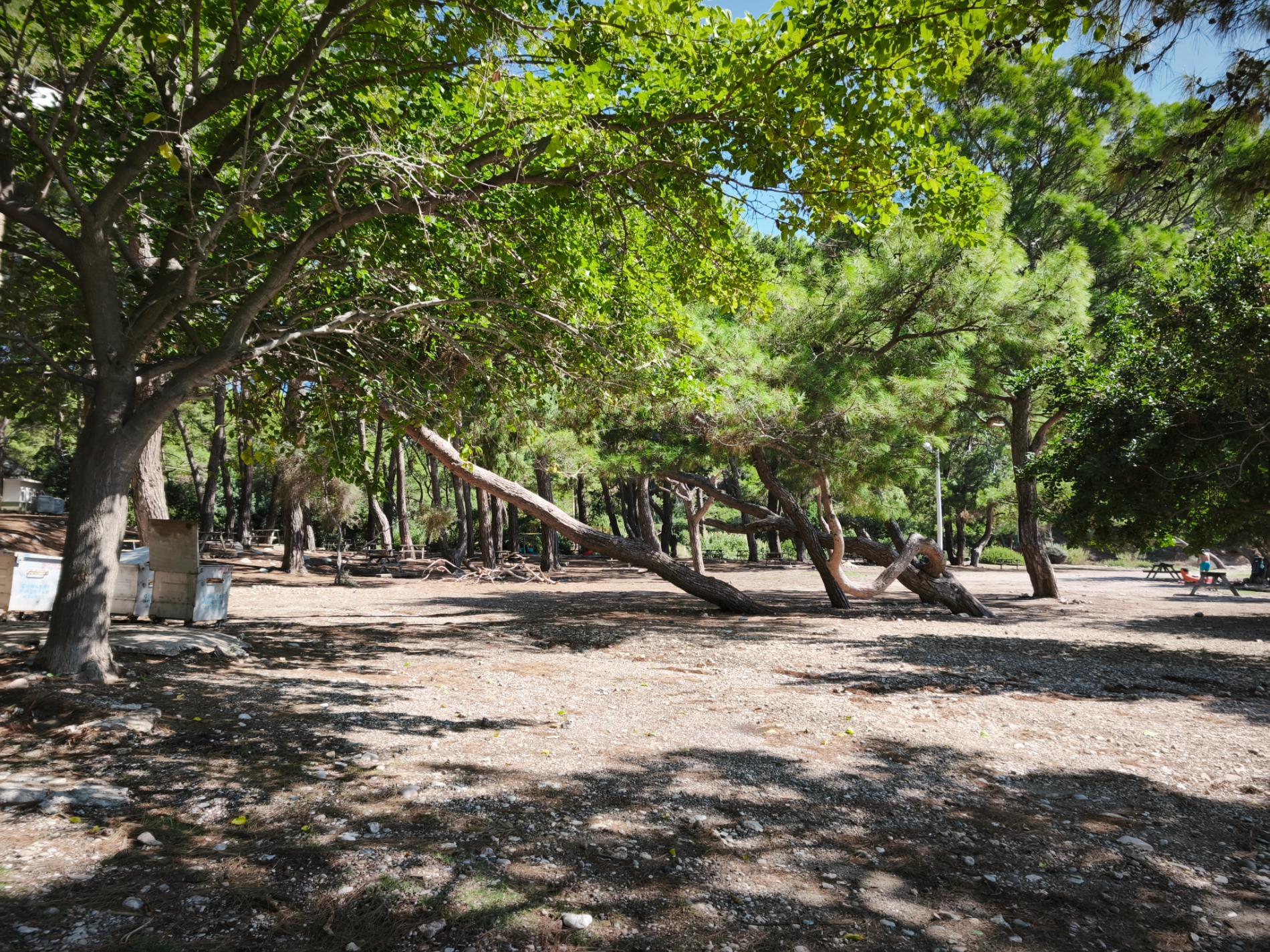 Foto di Papaz Iskelesi - luogo popolare tra gli intenditori del relax