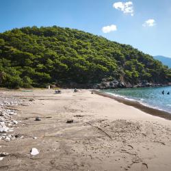 Foto di Papaz Iskelesi area servizi