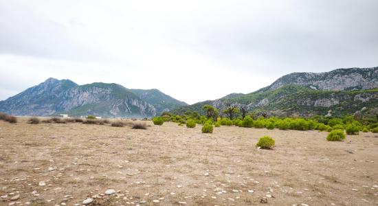 Olimpos Plaji