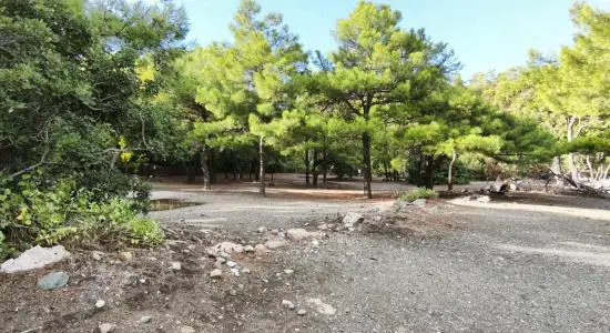 Cennet Koyu