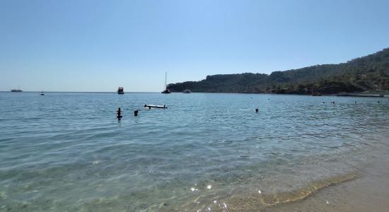 Maanlicht Strand
