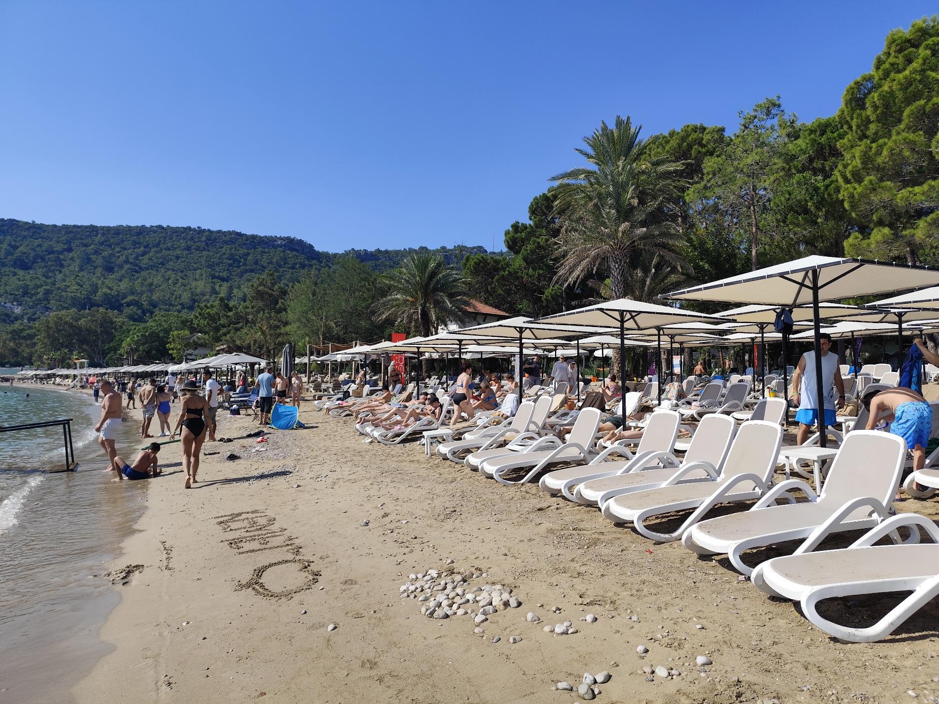 Photo of Moonlight beach