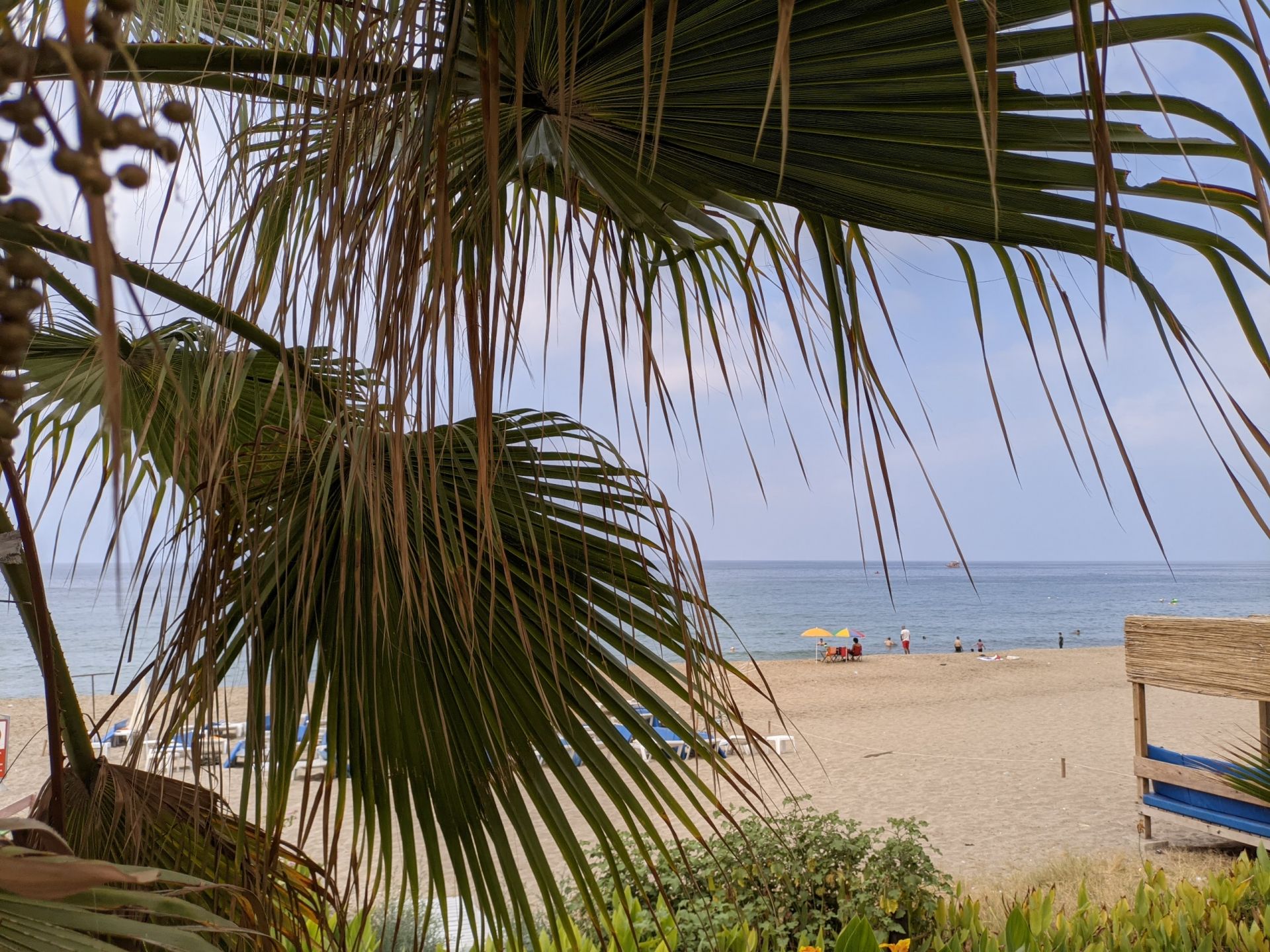 克利奥帕特拉海滩的照片 具有部分干净级别的清洁度