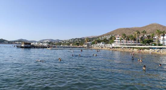 AVTA Tatil Koyu Iskelesi Plaji