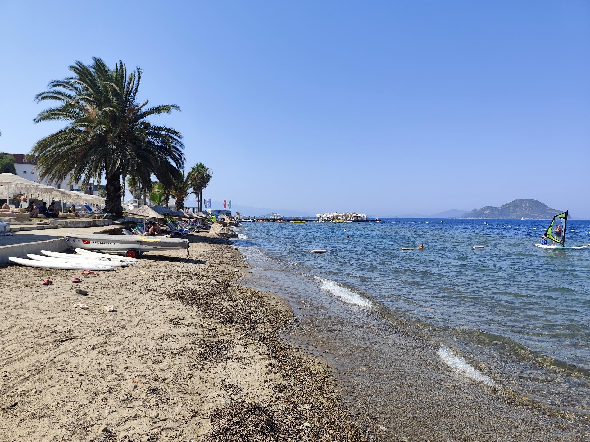 Photo of AVTA Tatil Koyu Iskelesi Plaji