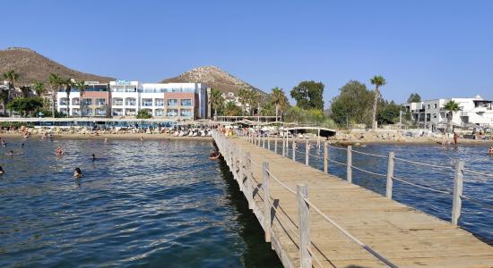 AVTA Tatil Koyu Iskelesi Plaji