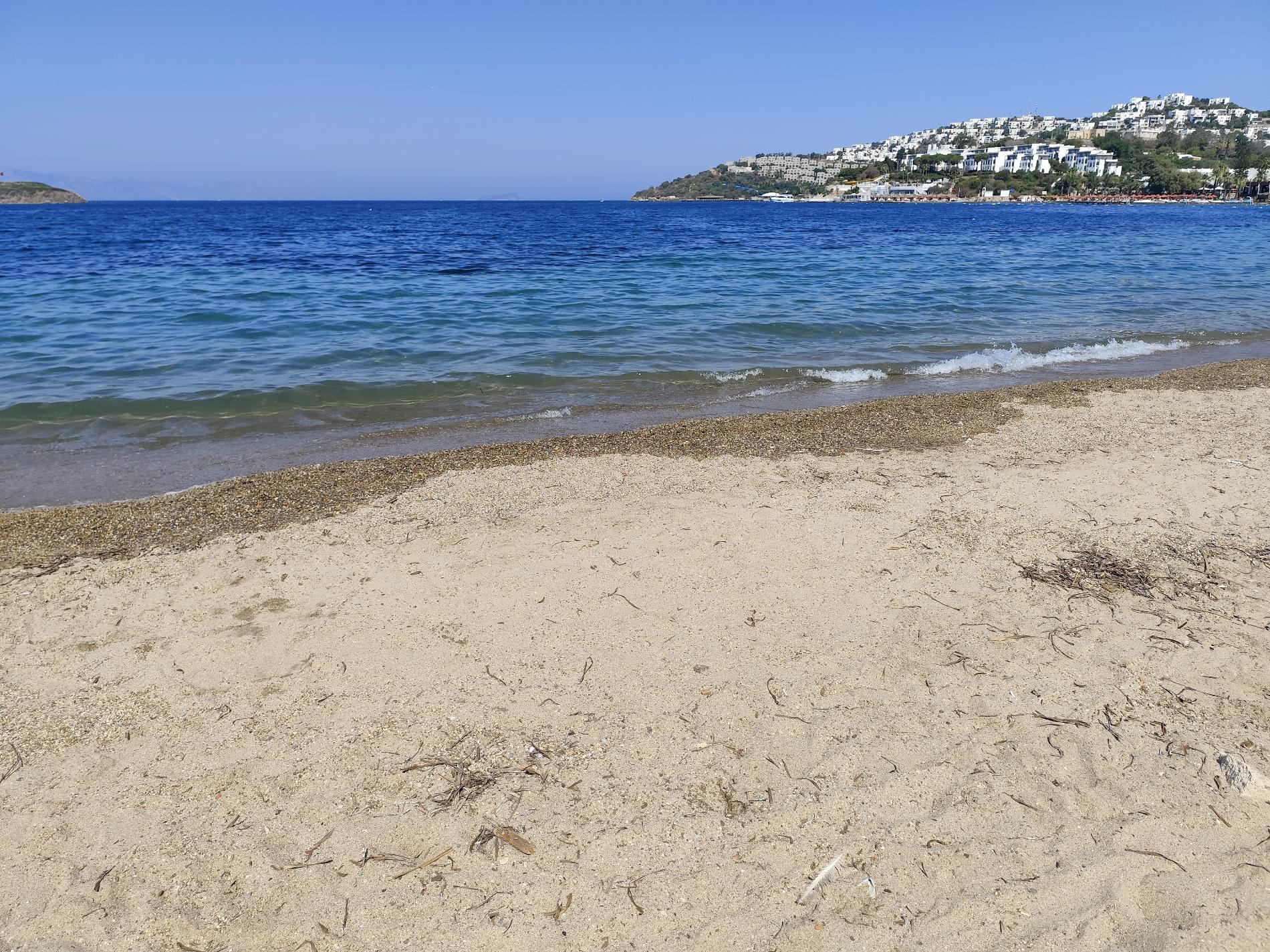 Photo of AVTA Tatil Koyu Iskelesi Plaji
