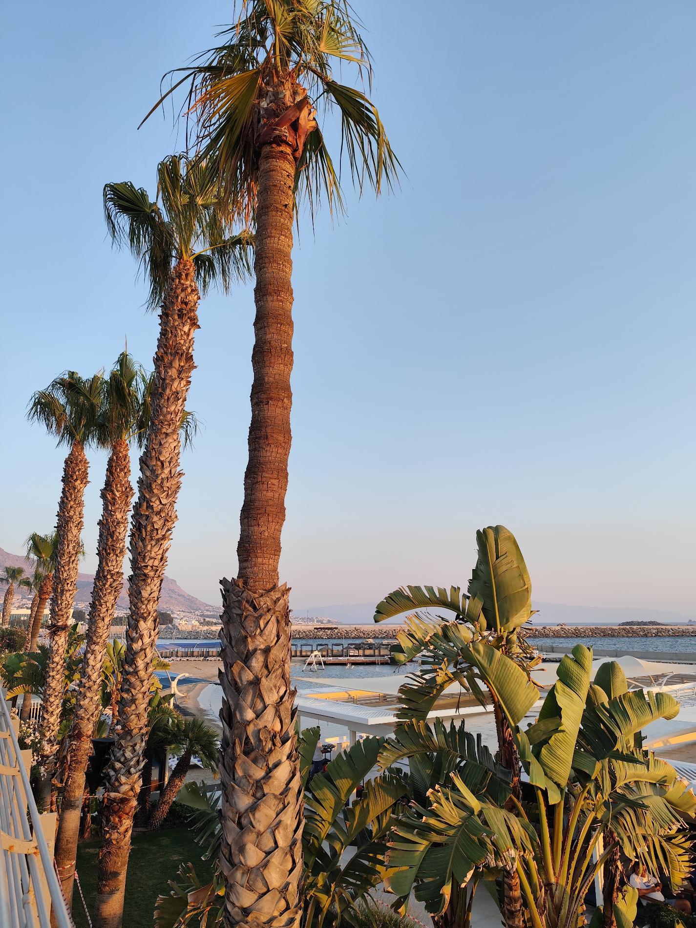 Fotografie cu Arin Beach cu o linie de coastă dreaptă