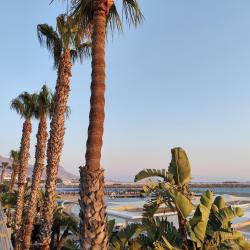 Fotografie cu Arin Beach cu o linie de coastă dreaptă