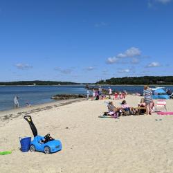 Foto di Megansett Beach con abbastanza pulita livello di pulizia