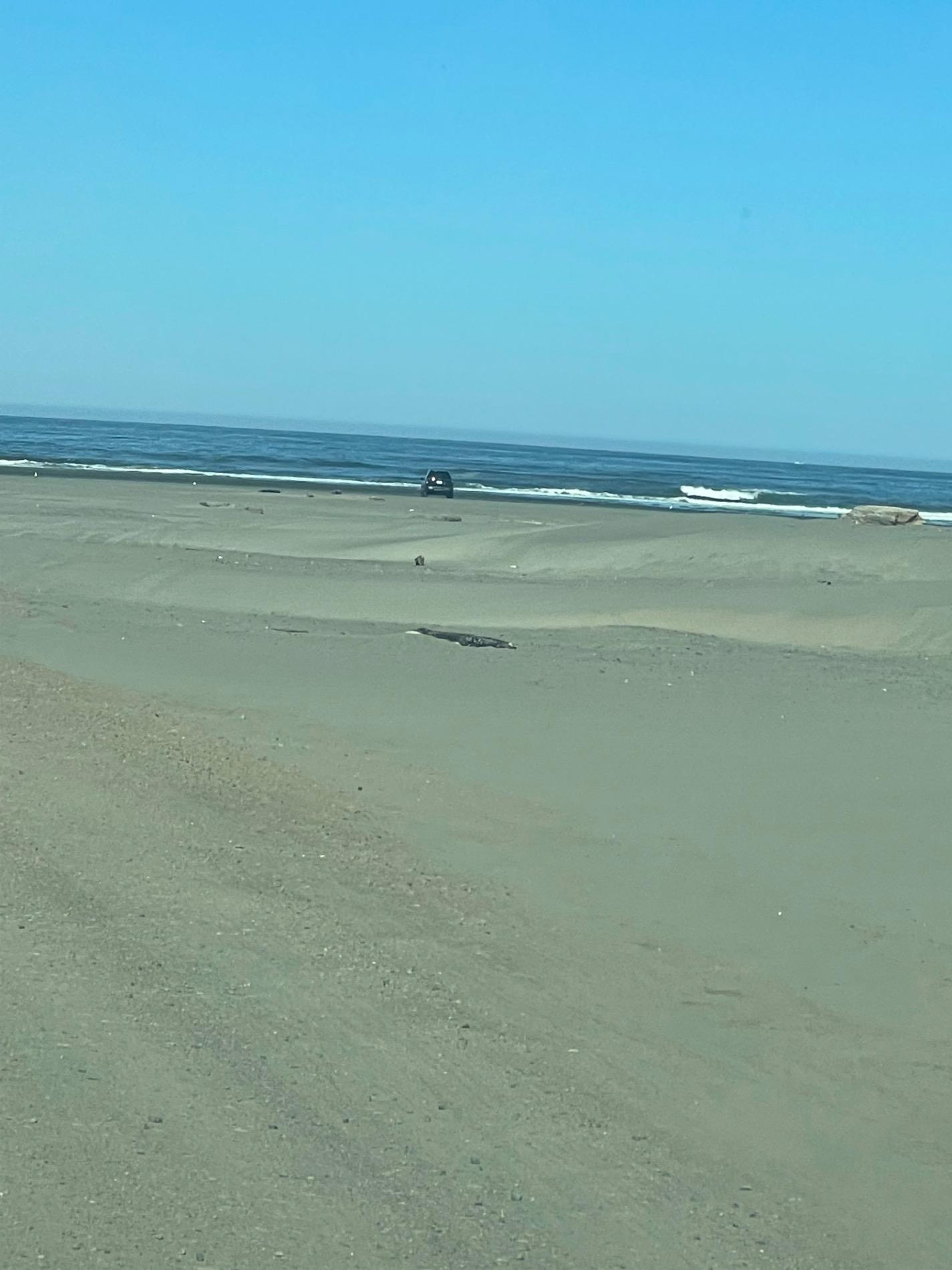 Foto di Ocean Shores Beach - luogo popolare tra gli intenditori del relax