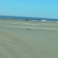 Foto di Ocean Shores Beach - luogo popolare tra gli intenditori del relax