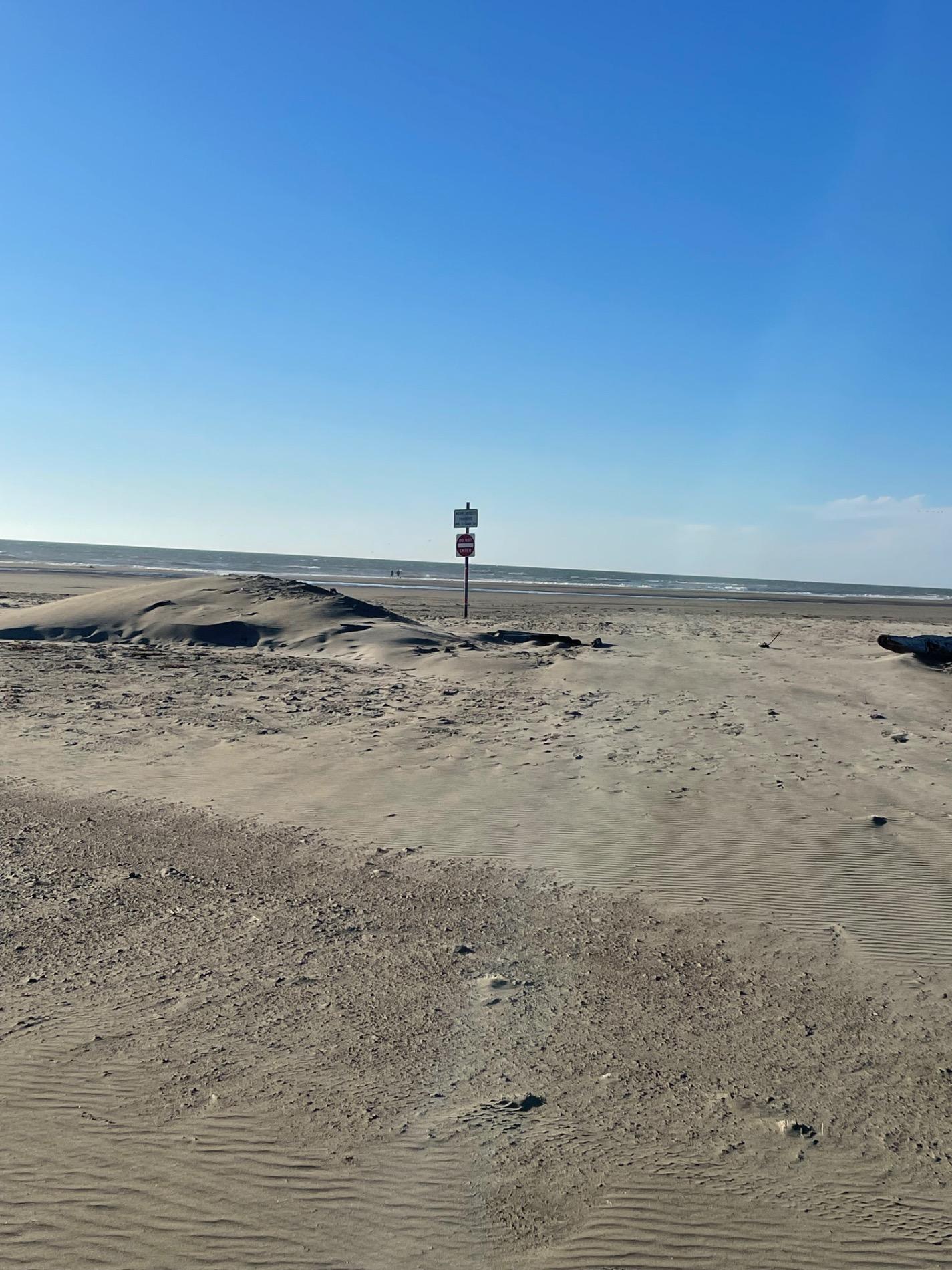 Foto di Ocean Shores Beach - buon posto amico degli animali domestici per le vacanze